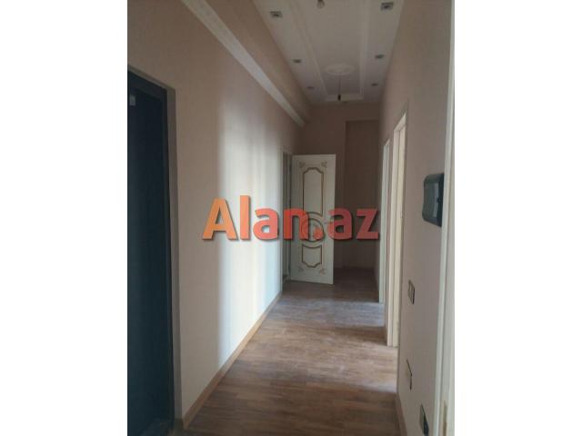 Binəqədi Rayonunda Bolluq Bazarının ,