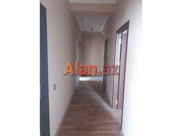 Binəqədi Rayonunda Bolluq Bazarının ,