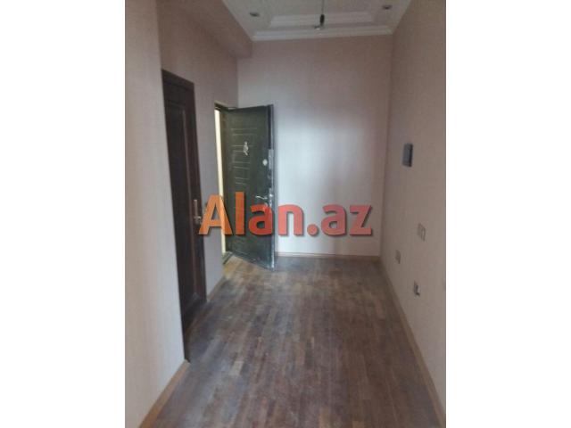 Binəqədi Rayonunda Bolluq Bazarının ,