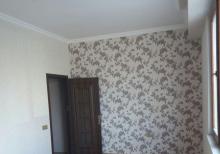 Binəqədi Rayonunda Bolluq Bazarının ,