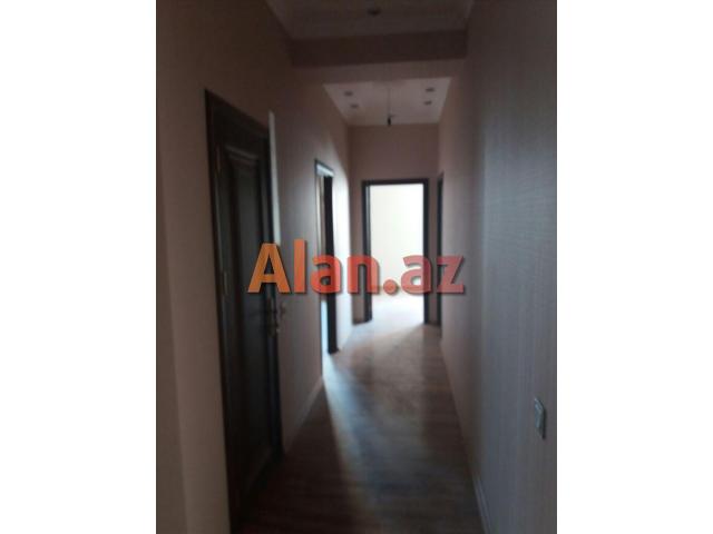 Binəqədi Rayonunda Bolluq Bazarının ,