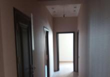 Binəqədi Rayonunda Bolluq Bazarının ,