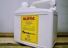 Blotic