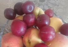 Xeste baxicisi lazimdi