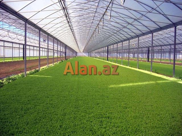 Palikarbonat,Nerj,Dəmir Kanstruksiya,Plastik qapı-pəncərə işləri yüksək səviyyədə