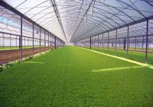 Palikarbonat,Nerj,Dəmir Kanstruksiya,Plastik qapı-pəncərə işləri yüksək səviyyədə