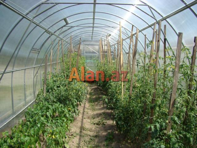 Palikarbonat,Nerj,Dəmir Kanstruksiya,Plastik qapı-pəncərə işləri yüksək səviyyədə