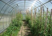 Palikarbonat,Nerj,Dəmir Kanstruksiya,Plastik qapı-pəncərə işləri yüksək səviyyədə