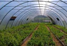 Palikarbonat,Nerj,Dəmir Kanstruksiya,Plastik qapı-pəncərə işləri yüksək səviyyədə