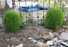 Dibçek   top kimi yumuru qalir