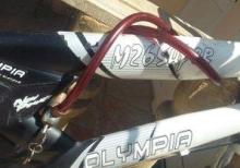 Olympia VeLosibet 26lıq