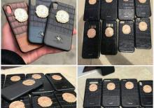 Rengli gerbli kabrolar