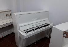 Belarus Piano Satilir