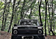 Niva ucun led patfarnik.