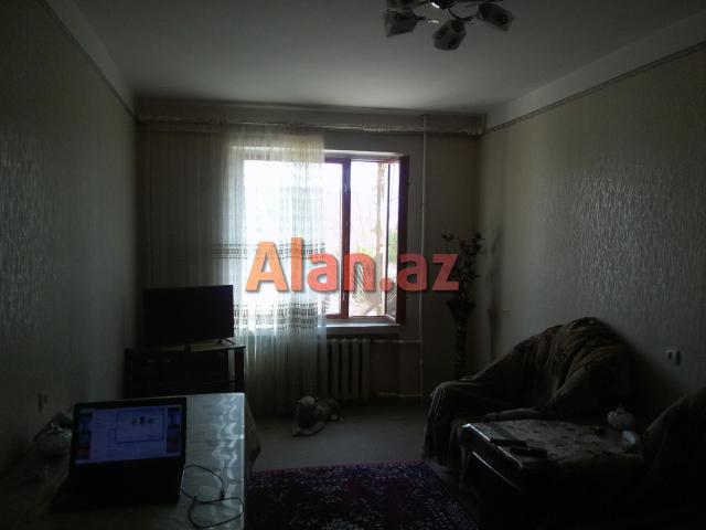 bileceri qes. mehelle bina 3 menzil 19