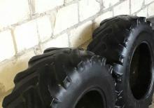 Belarus,89un qabaq tekeri belisima