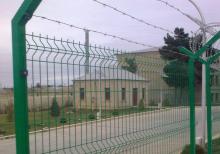 Setka Hasar (Mühafizə çəpəri)