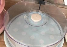 Tort qabları