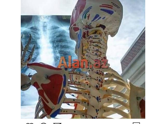 Xirdalanda Tibb bacisi kursu