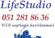 Web sehifeler. Web saytlarin hazirlanmasi