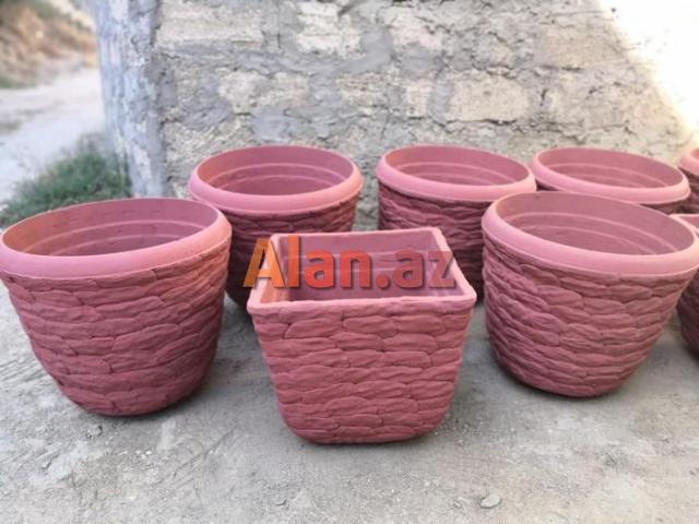 Dekorativ bitkiler ve guller ucundur