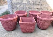 Dekorativ bitkiler ve guller ucundur