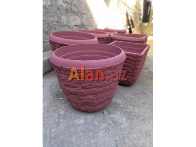 Dekorativ bitkiler ve guller ucundur