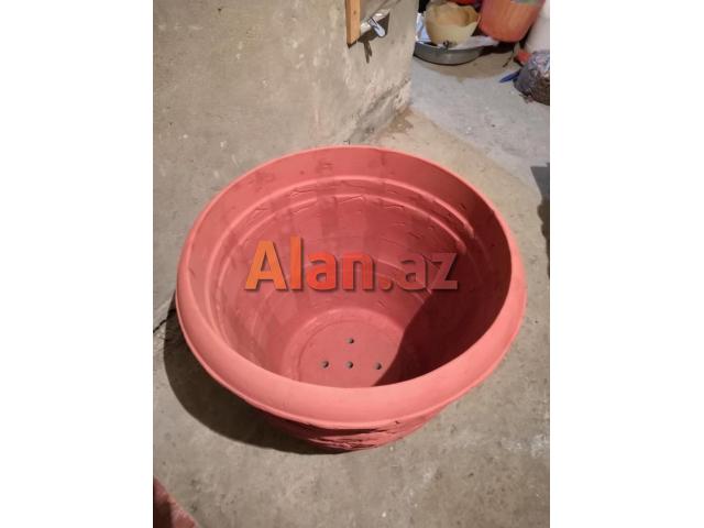 Dekorativ bitkiler ve guller ucundur