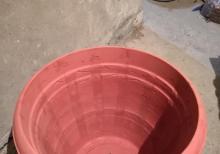 Dekorativ bitkiler ve guller ucundur