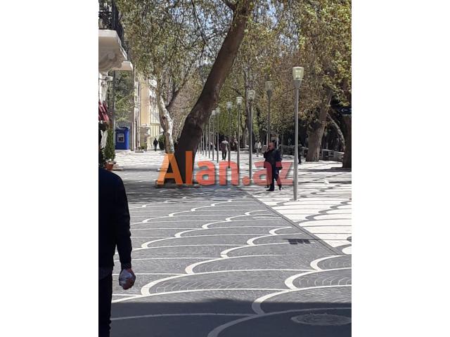 Tarqovuda Cumun yani.