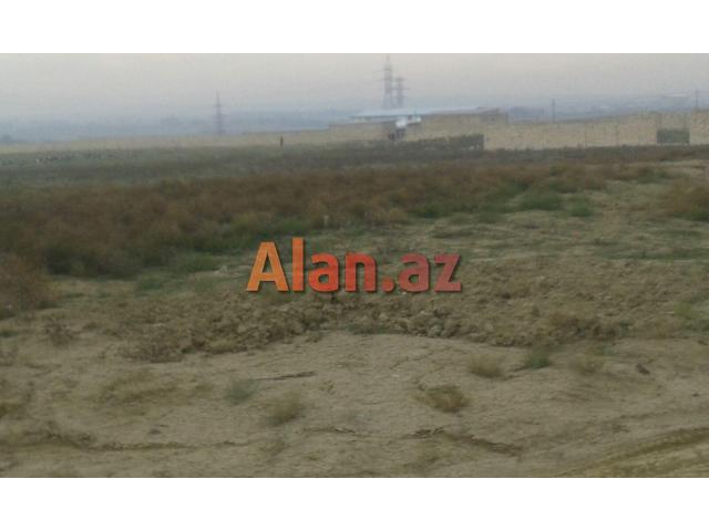 kurdexanida 2 sot kupcali torpaq