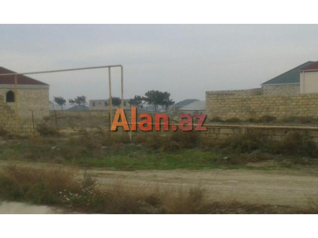 kurdexanida 2 sot kupcali torpaq