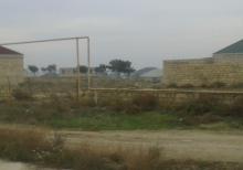 kurdexanida 2 sot kupcali torpaq