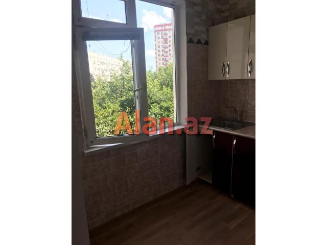 4cu mikrorayon Qerenfil usaq bagcasinin yani.