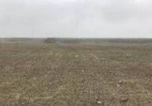 xacmaz rayonunda 500 hektar erazisi oaln torpaq sahesi sayigmaq olar