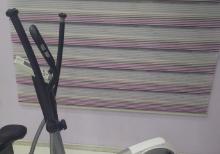 Xizek trenajor Profesyonal.