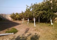 ucuz heyet evi tecli