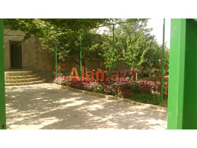 ucuz heyet evi tecli