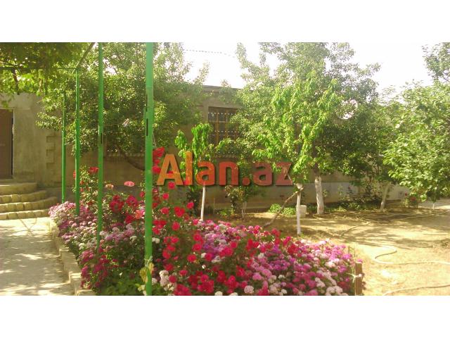 ucuz heyet evi tecli