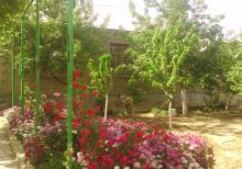 ucuz heyet evi tecli