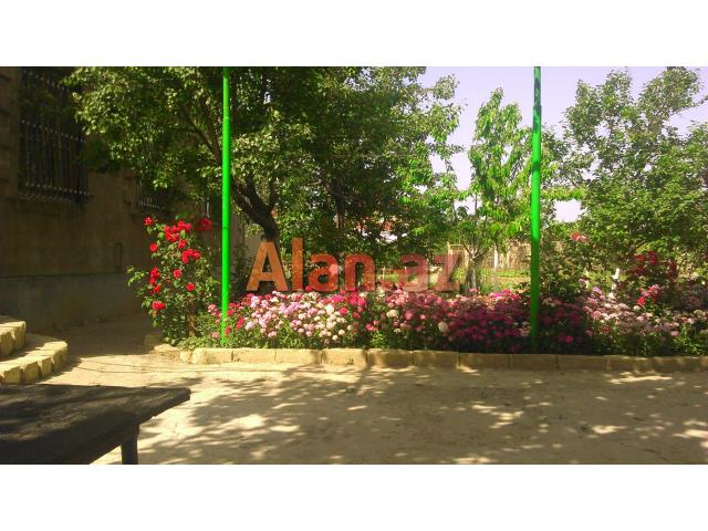 ucuz heyet evi tecli