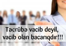 Evdə oturaraq pul qazanmaq qadınlar üçün