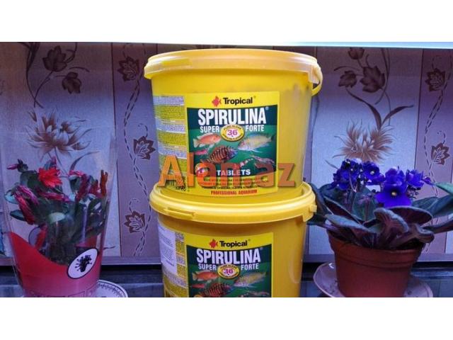 Spirulina tablet akvarium balıq yemi 50 ədəd 5azn