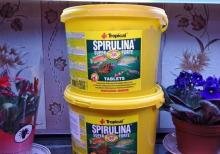 Spirulina tablet akvarium balıq yemi 50 ədəd 5azn