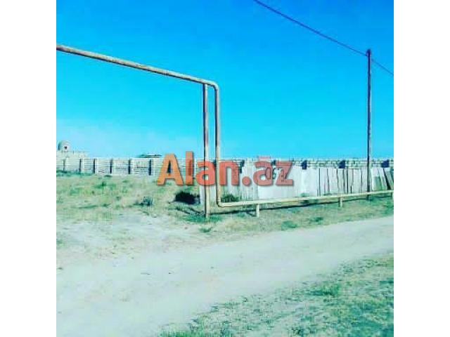 Kurdexanida torpaq sahesi