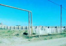 Kurdexanida torpaq sahesi