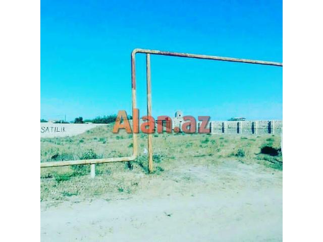 Kurdexanida torpaq sahesi