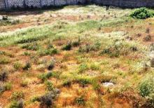 Şağanda 12 sot torpaq