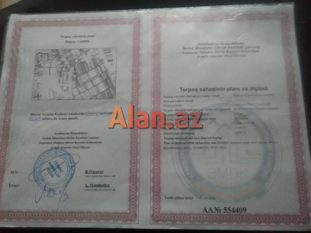 Torpaq sahesi. Saray qesebesi