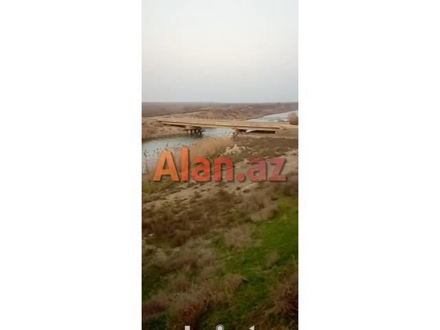 300 hektar Ərazi satılır Neftçala
